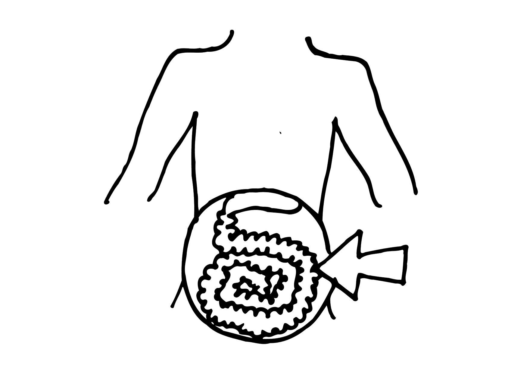 intestino Disegno da colorare intestino