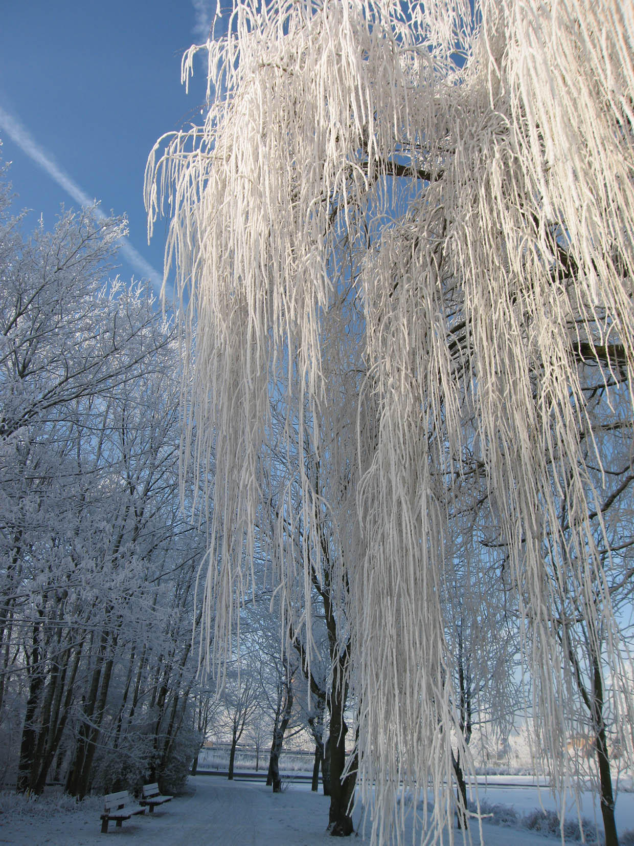 inverno 6 Foto inverno 6