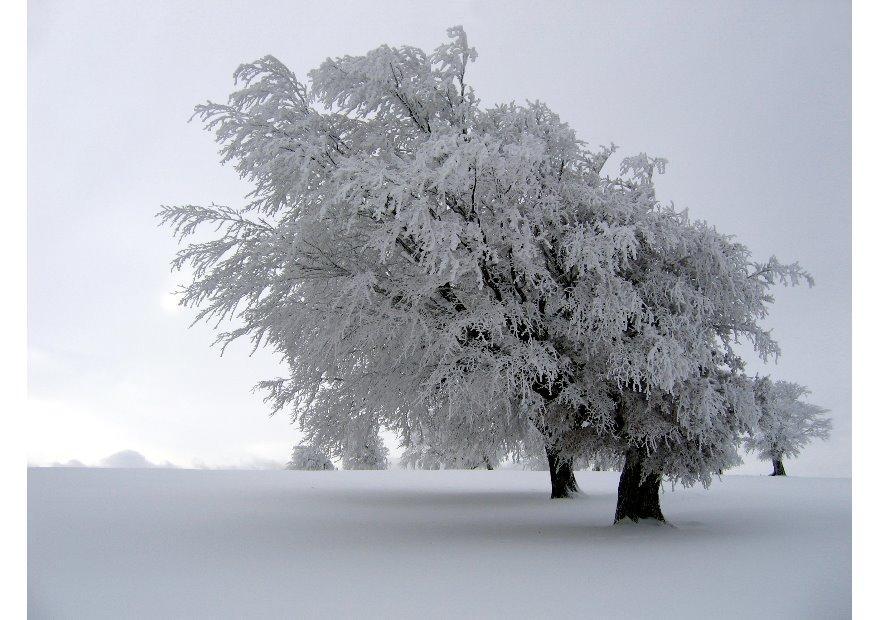 inverno Foto inverno