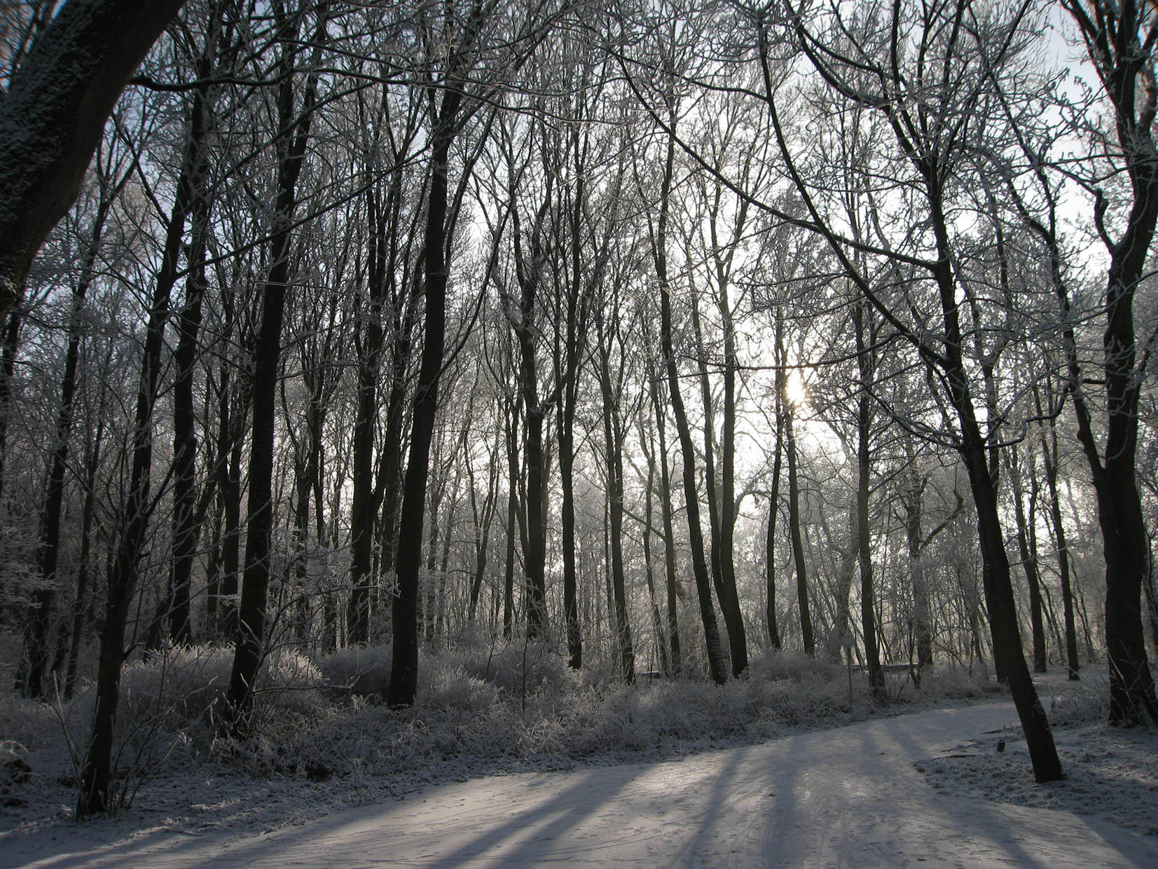 inverno Foto inverno