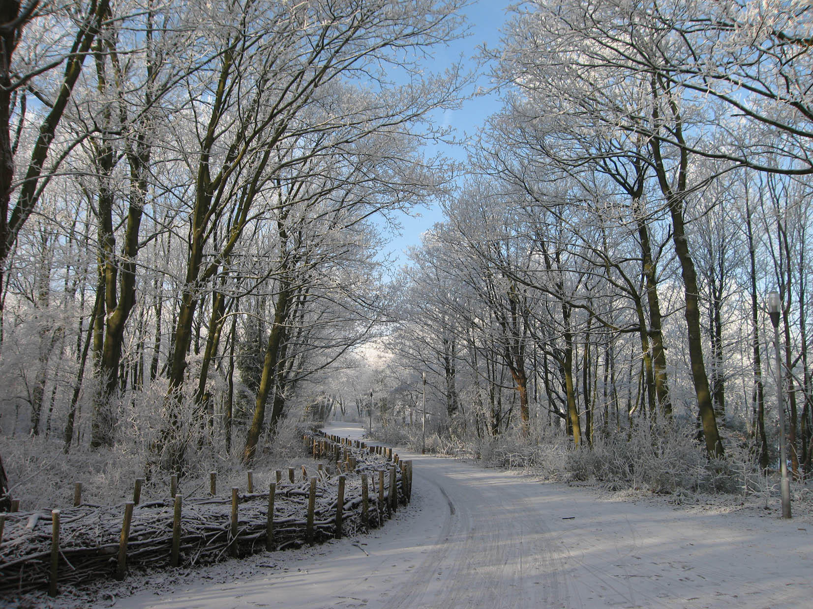 inverno Foto inverno