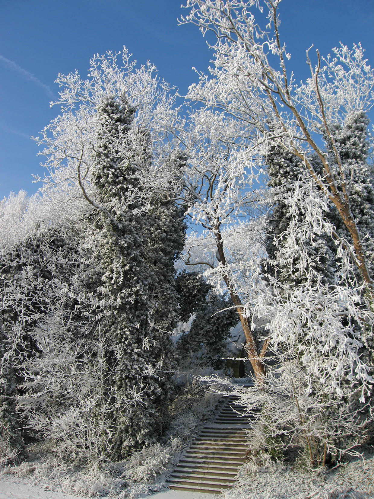 inverno Foto inverno