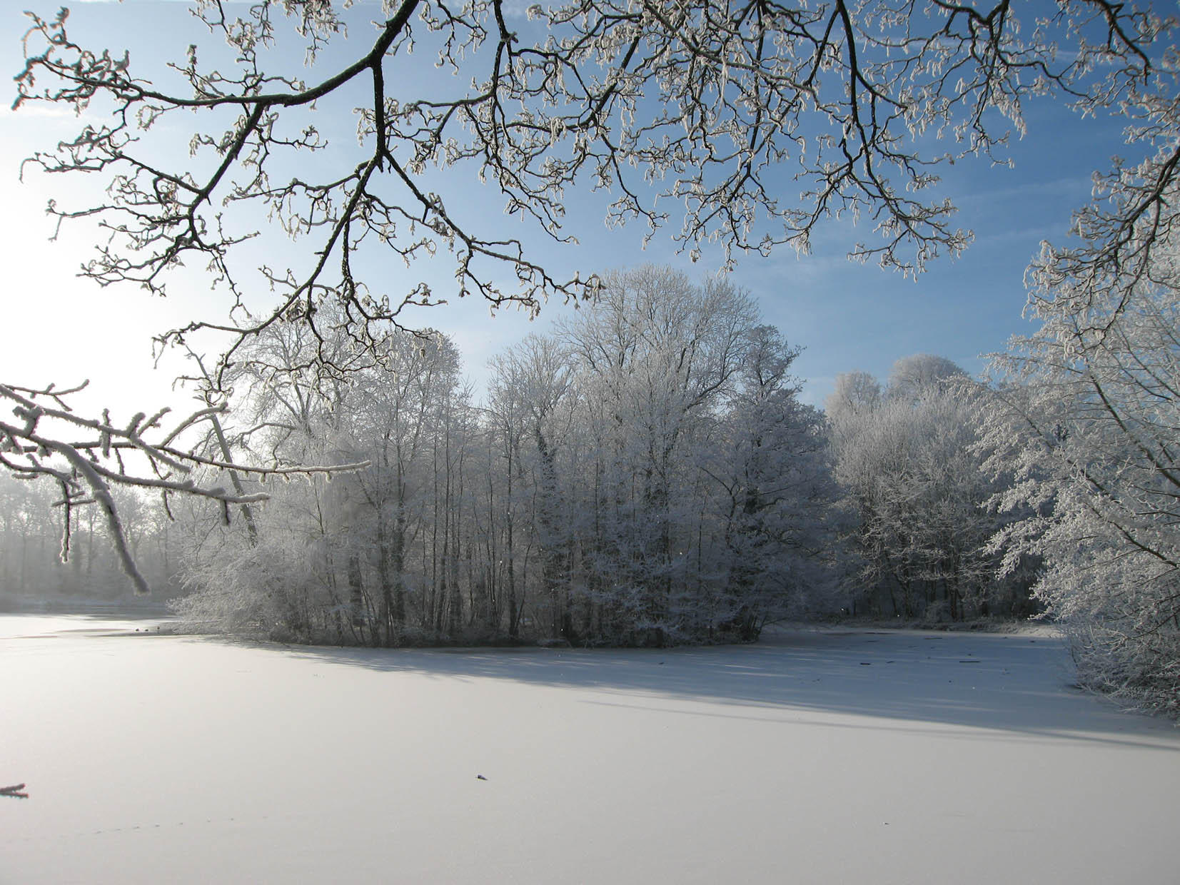 inverno Foto inverno