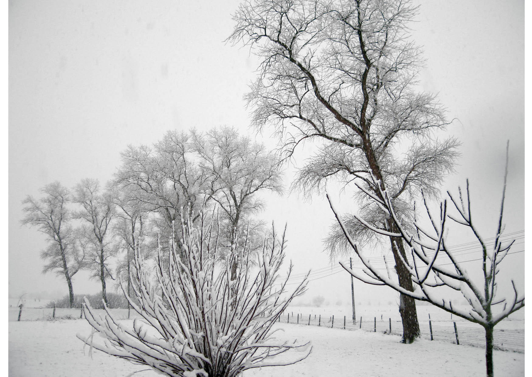 inverno - neve Foto inverno - neve
