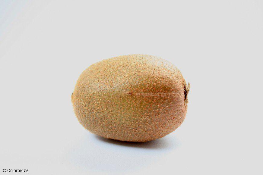 kiwi Foto kiwi