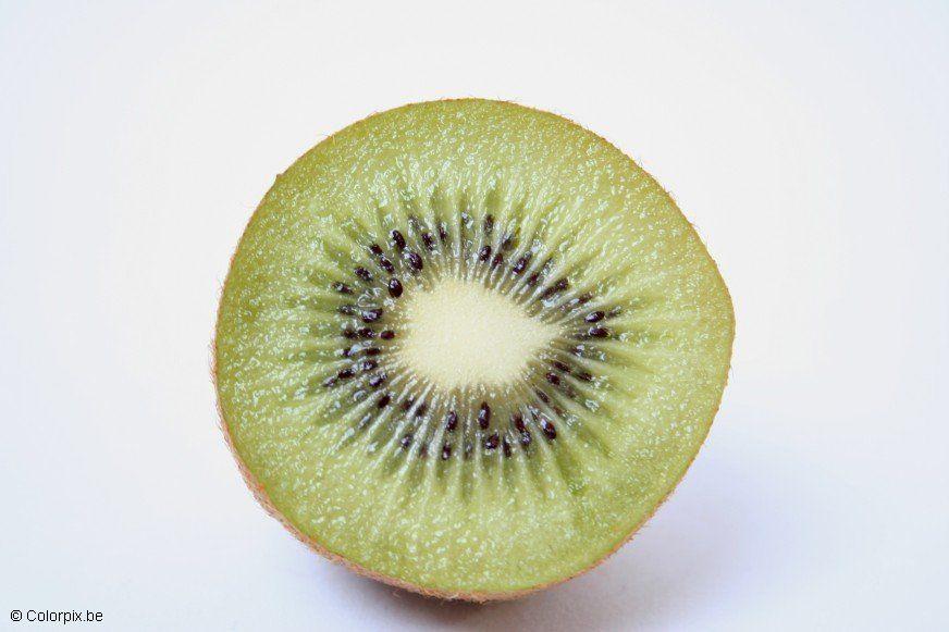 kiwi Foto kiwi