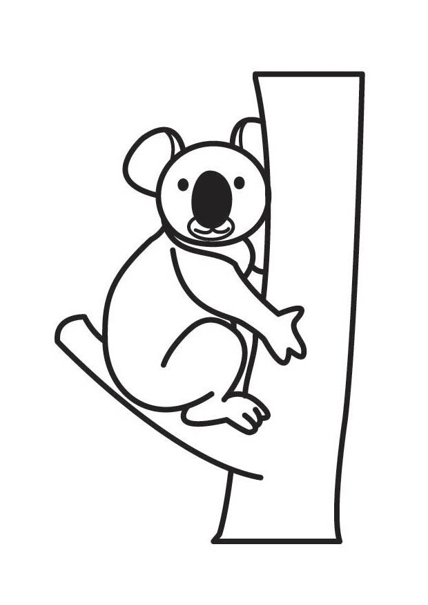 koala Disegno da colorare koala