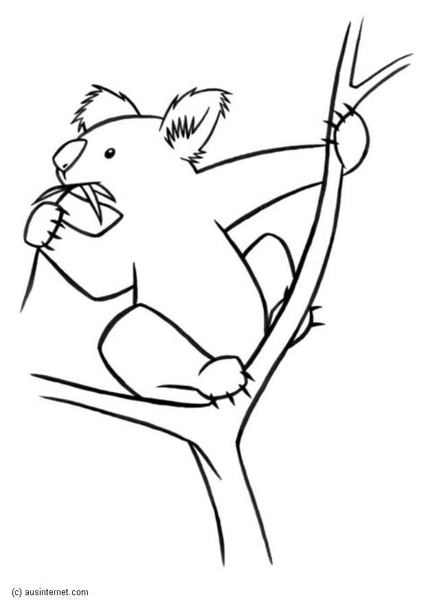 koala Disegno da colorare koala