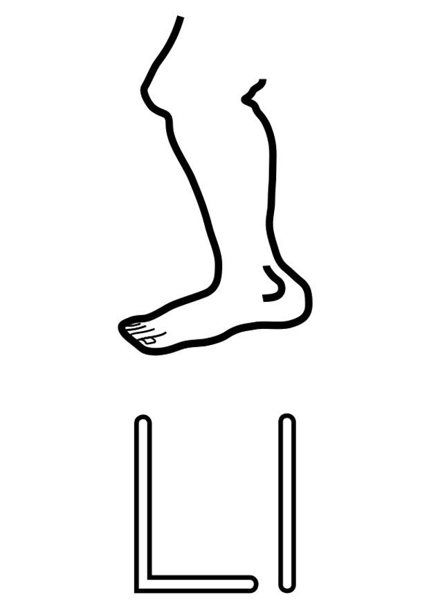 l Disegno da colorare l