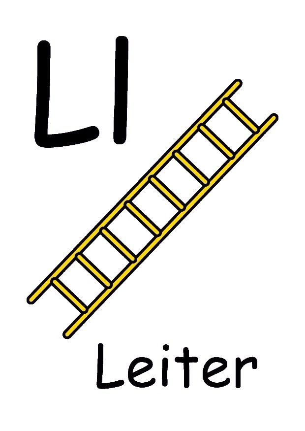 l immagine l