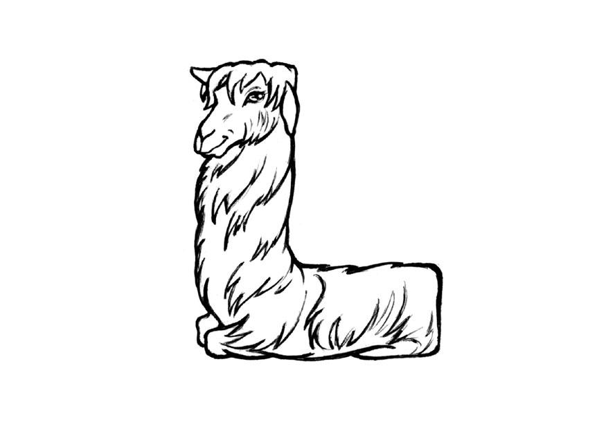 l-llama Disegno da colorare l-llama