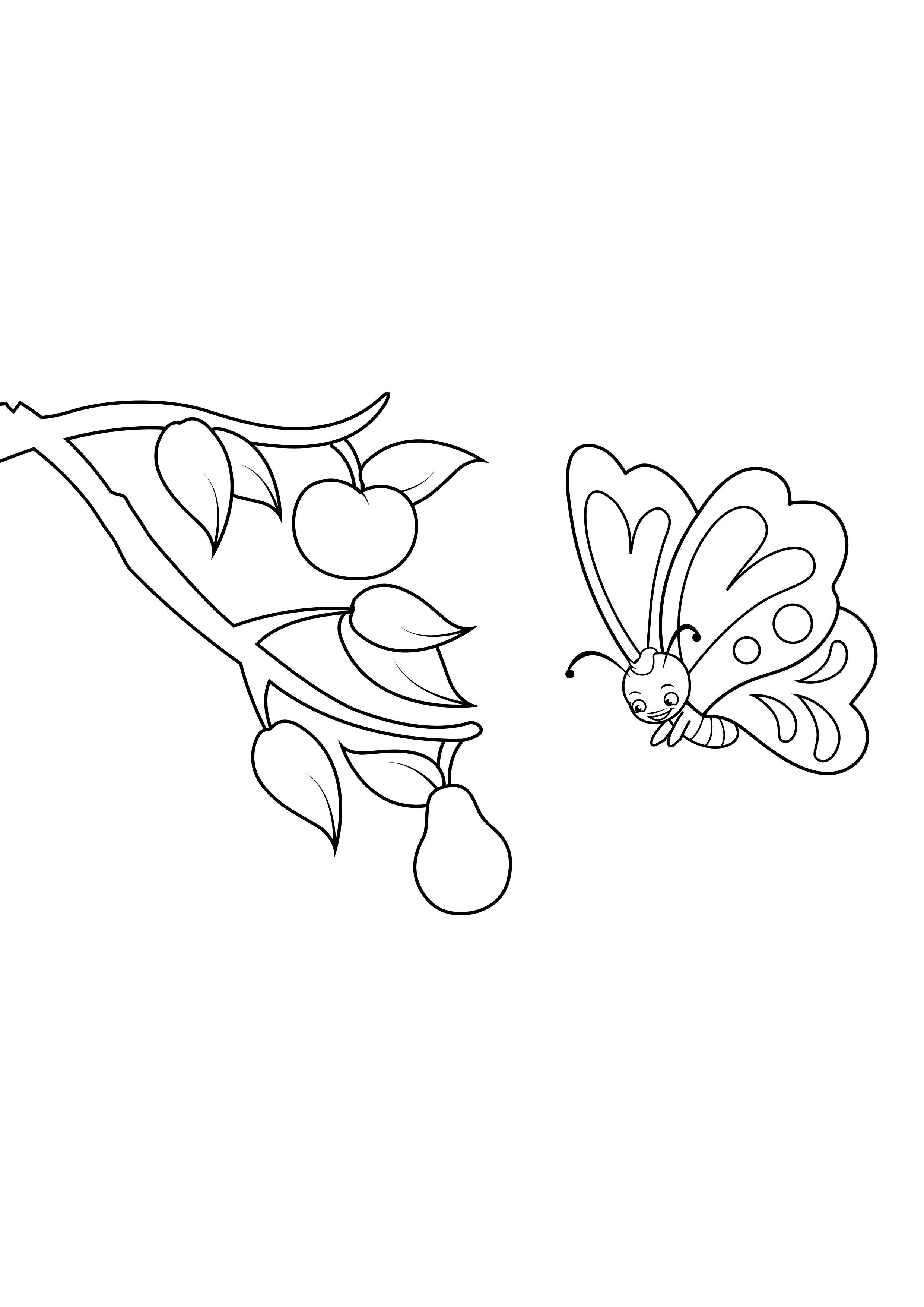 la farfalla vede la pera Disegno da colorare la farfalla vede la pera