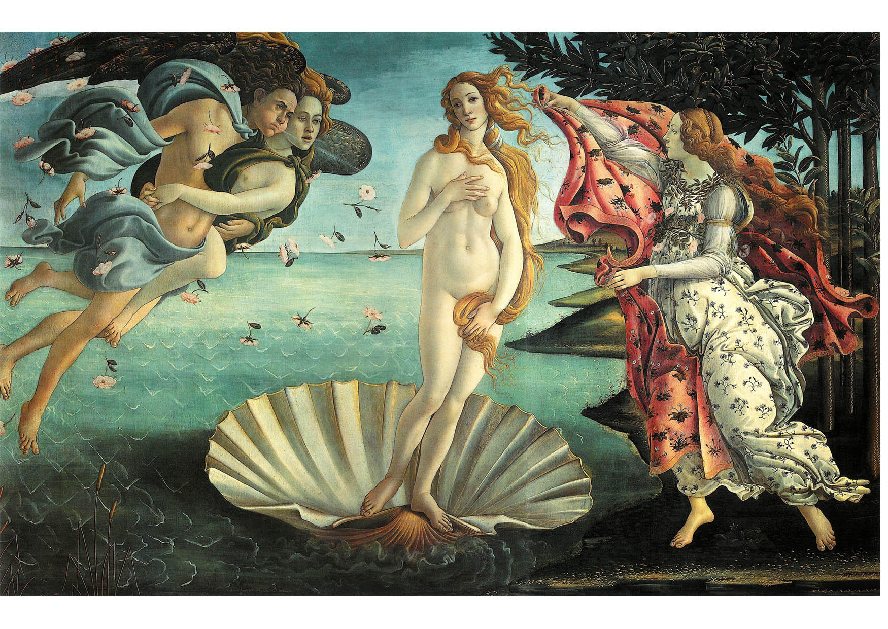 la nascita di venere - sandro botticelli immagine la nascita di venere - sandro botticelli