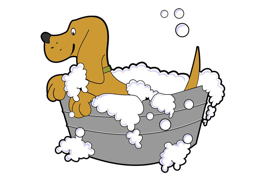 lavaggio del cane Disegno da colorare lavaggio del cane