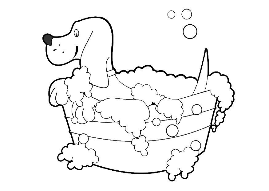 lavaggio del cane Disegno da colorare lavaggio del cane