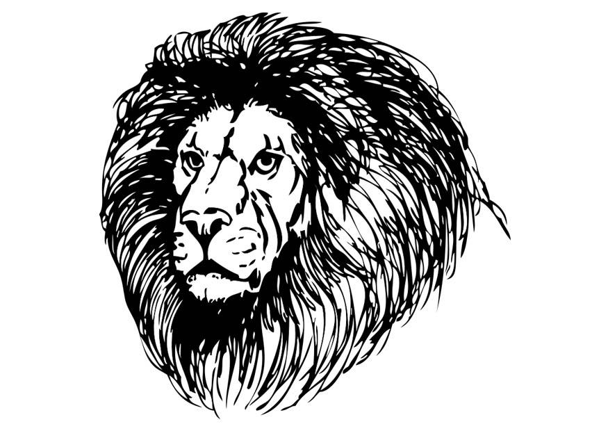 leone Disegno da colorare leone