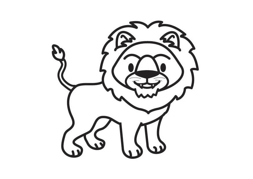 leone Disegno da colorare leone