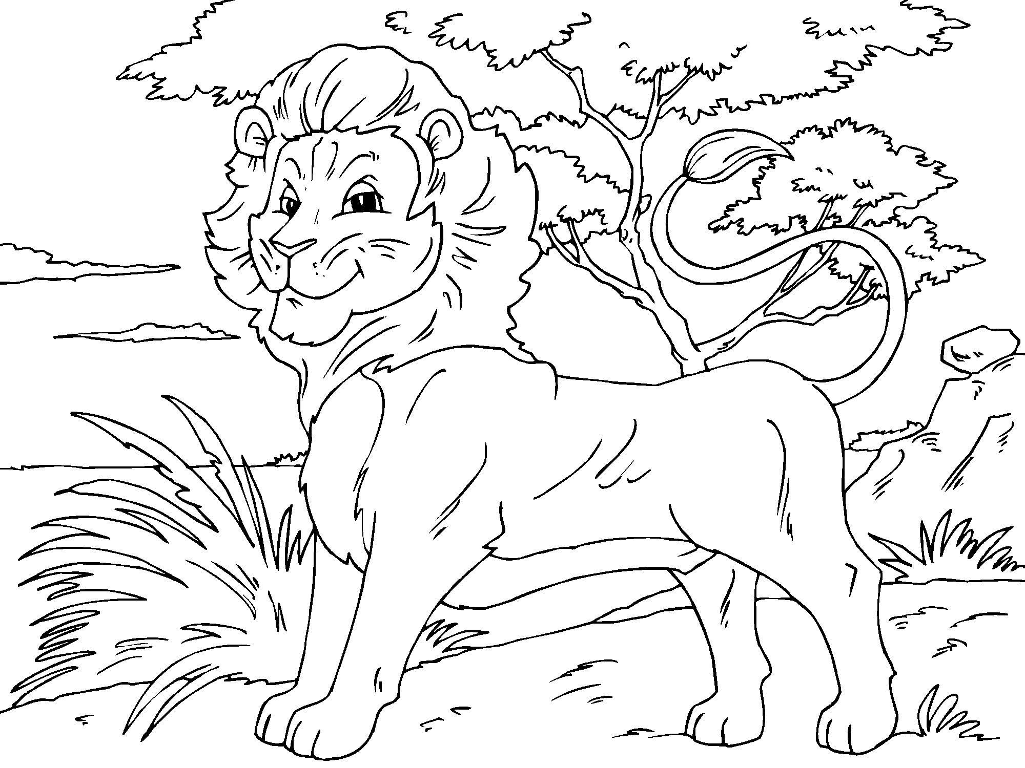 leone Disegno da colorare leone