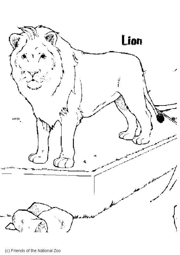 leone Disegno da colorare leone