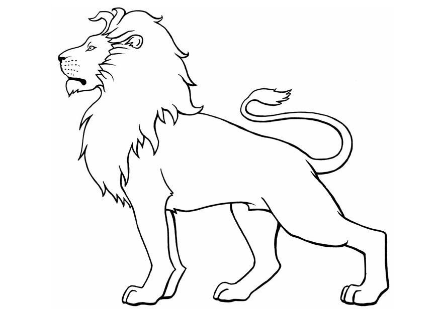 leone Disegno da colorare leone