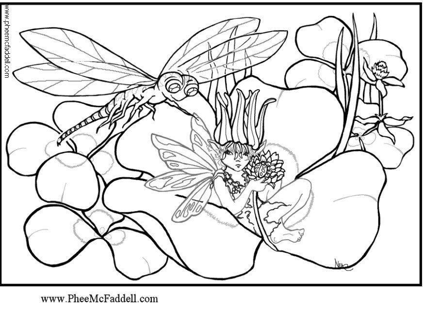 libellula Disegno da colorare libellula