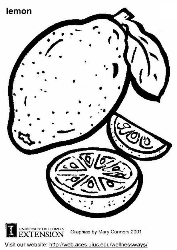 limone Disegno da colorare limone