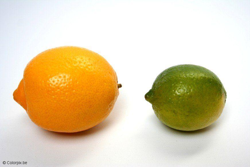 limone e cedro Foto limone e cedro
