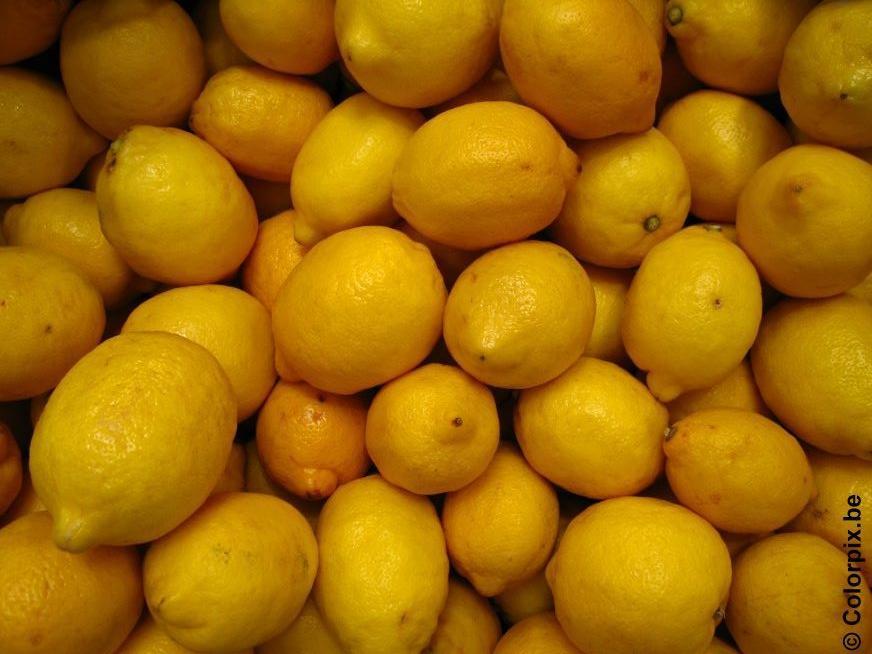 limoni Foto limoni
