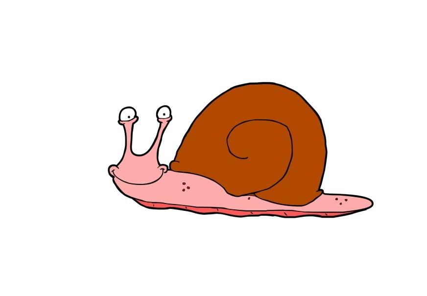 lumaca immagine lumaca
