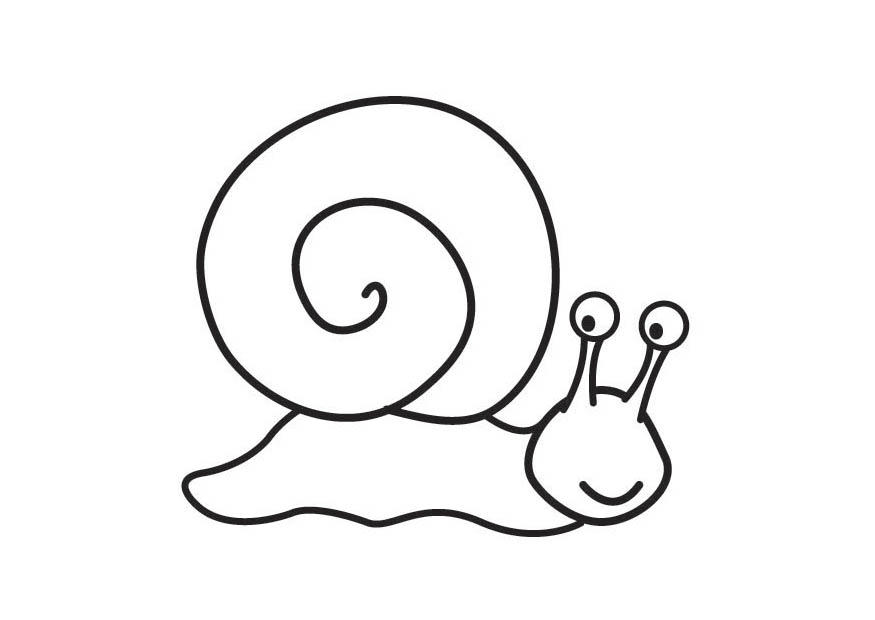 lumaca Disegno da colorare lumaca