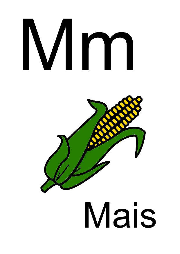 m immagine m