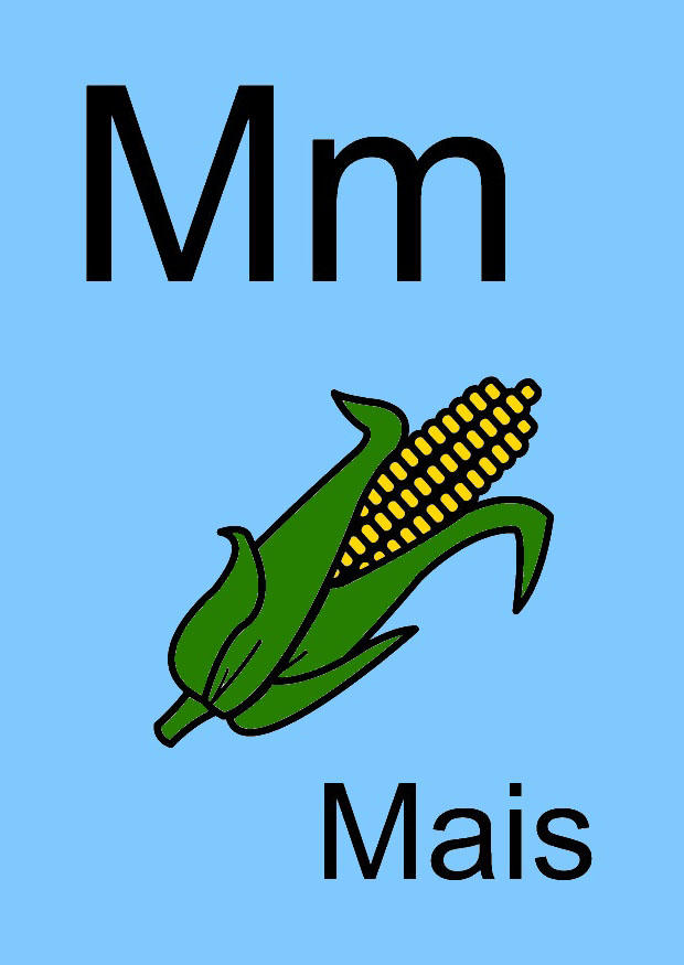 m immagine m