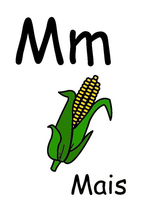m immagine m