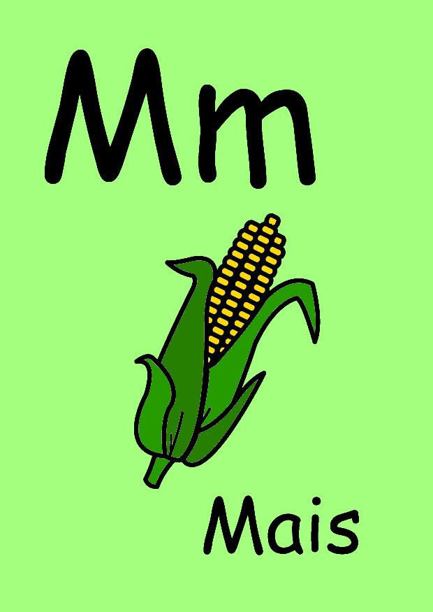 m immagine m