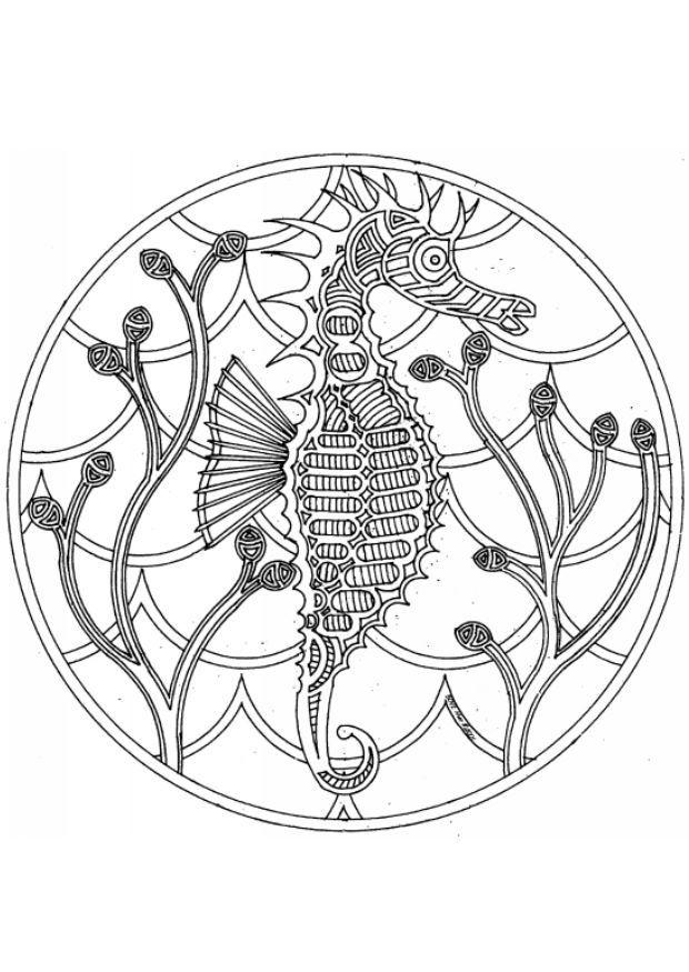 Disegno da colorare mandala cavaluccio marino