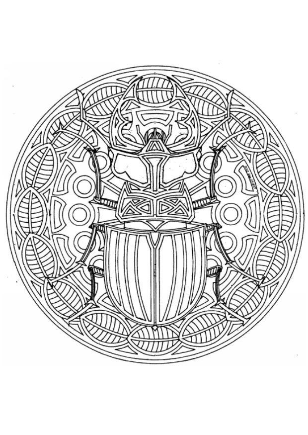 mandala scarafaggio Disegno da colorare mandala scarafaggio