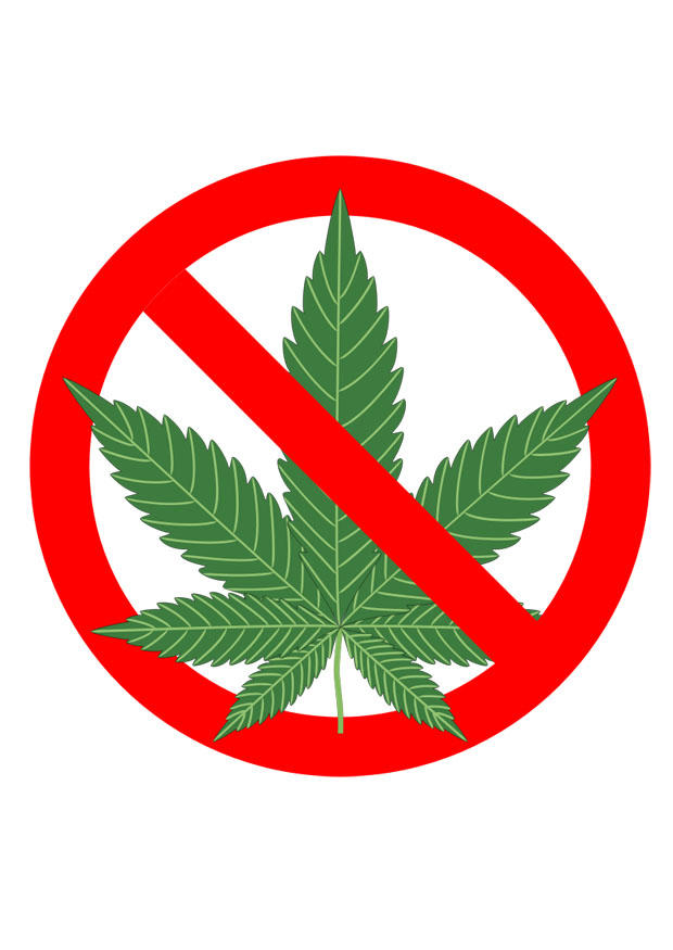 marihuana vietata immagine marihuana vietata