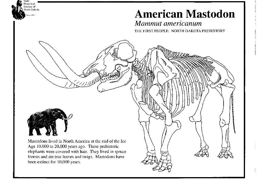 mastodonte Disegno da colorare mastodonte