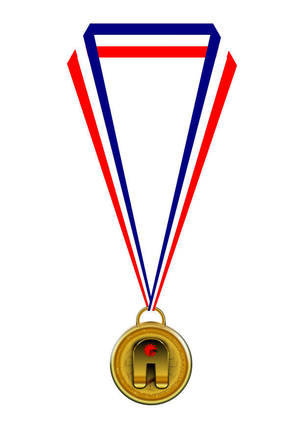 medaglia immagine medaglia