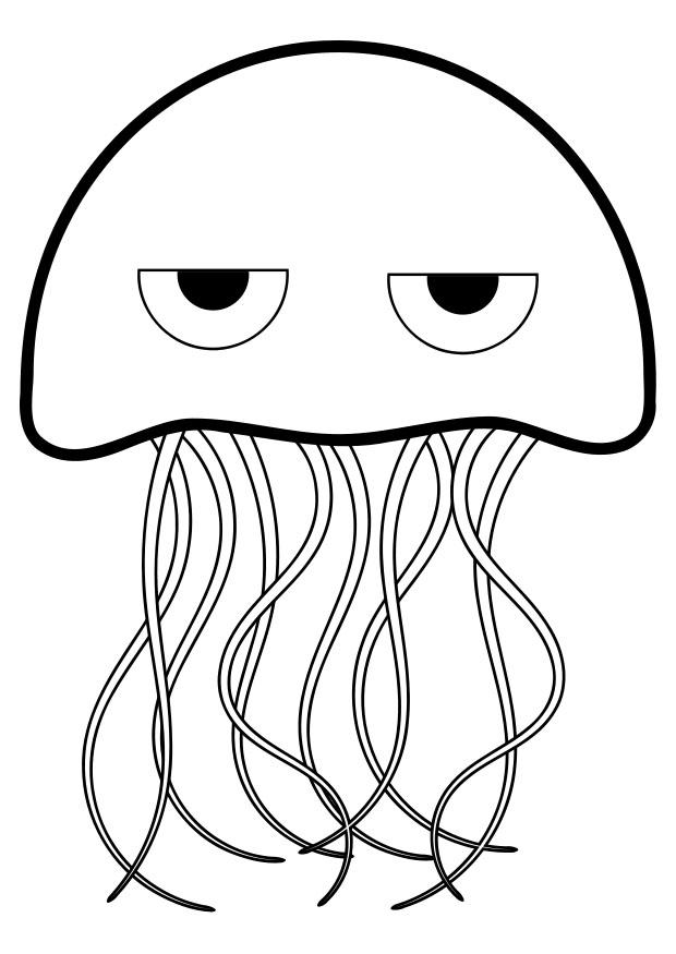 medusa Disegno da colorare medusa