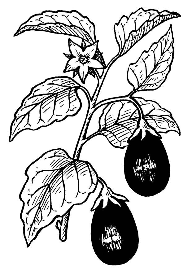 melanzana Disegno da colorare melanzana