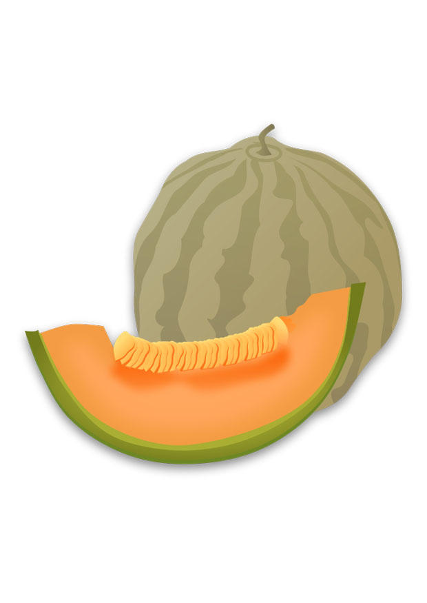 melone immagine melone