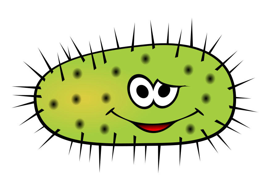 microbo immagine microbo