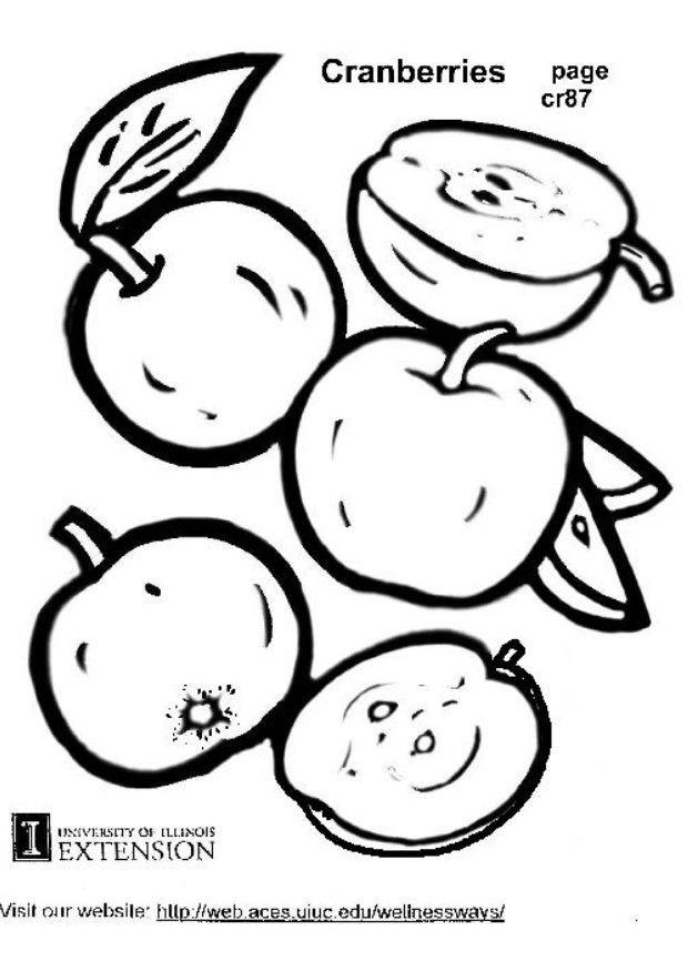 mirtillo palustre Disegno da colorare mirtillo palustre