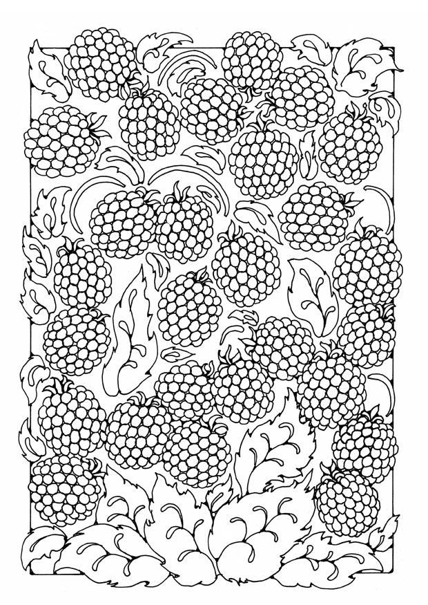 more Disegno da colorare more