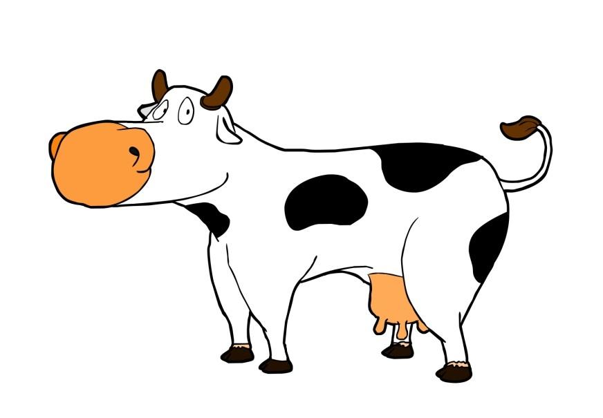 mucca immagine mucca