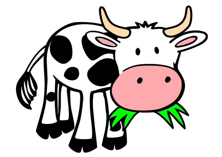 mucca immagine mucca