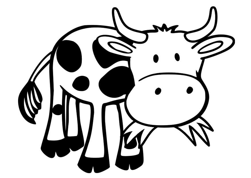 mucca Disegno da colorare mucca