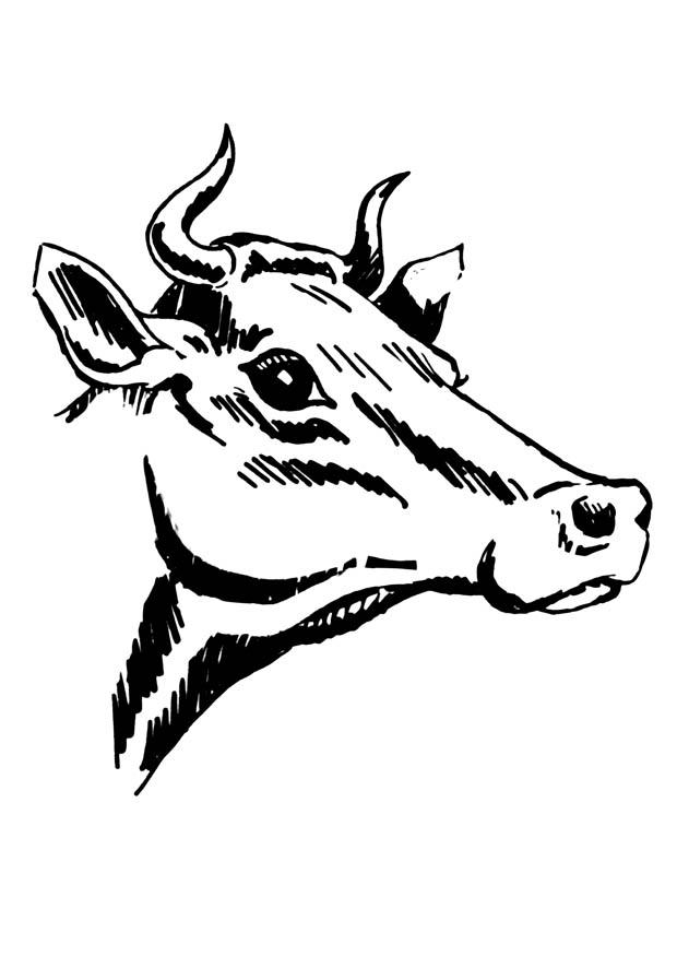 mucca con le corna Disegno da colorare mucca con le corna