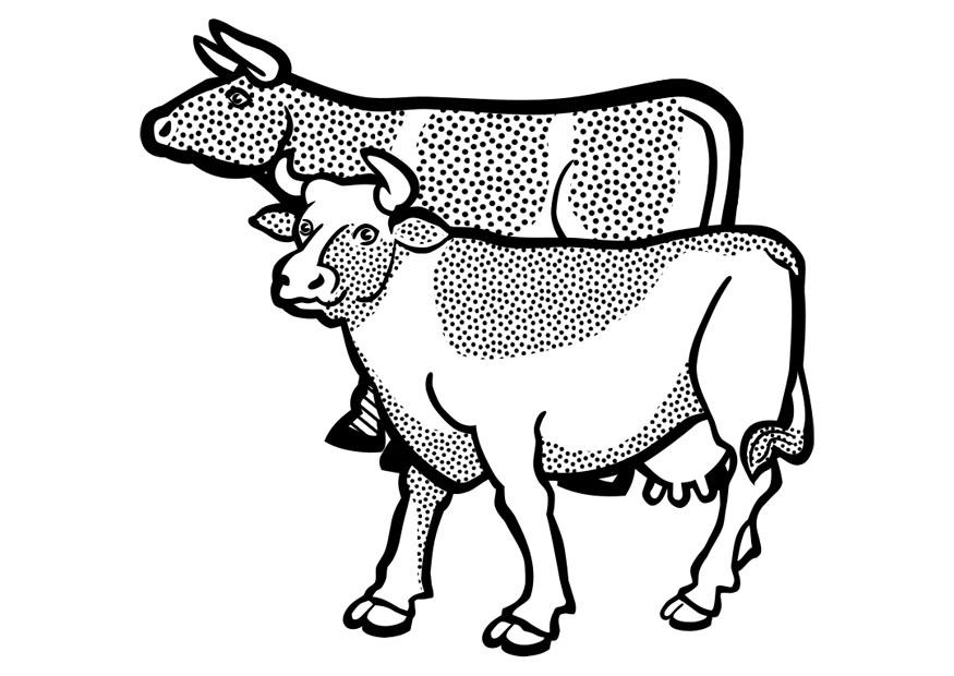 mucche Disegno da colorare mucche
